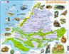 Larsen Maxi Kaart Zuid Holland met Dieren 62 stukjes Puzzel