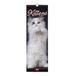 Legami Wandkalender 2027, kittens, kleine wandkalender, 12 maanden en jaarplanner, in 6 talen, ruimte voor notities, sterrenbeelden, internationale feestdagen, 16 x 49 cm