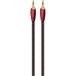 AudioQuest Golden Gate 0.6m 3.5mm Zwart
