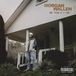 One Morgan Wallen - One Thing At A Time (3 LP) (Coloured Vinyl)