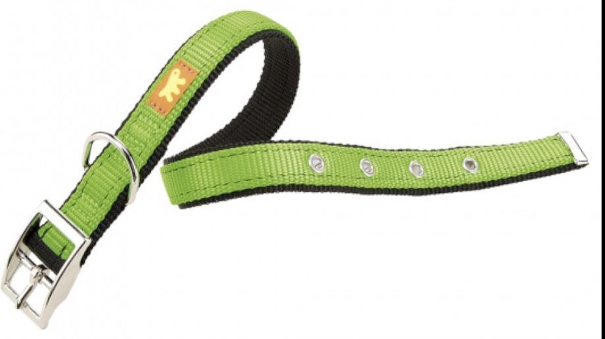 Ferplast Hondenhalsband Dual 35 Tot 43 Cm Nylon/rvs Groen groen