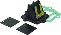 Polini Clapet d'admission pour Scooter Aprilia 50 Area 51 213.0046 Neuf