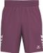 Erima Celebrate 125 Short Heren - Bordeaux