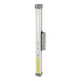 RIEGLER 106313-6.DD.250200 zuigerstangloze cilinder, dubbel werkend, zuiger-Ø 25, hub 200, 1 stuk