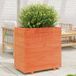 Maison Exclusive - Pot de fleurs pour le jardin, brun foncé, 70x40x72,5 cm, bois de pin massif