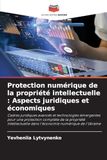 Protection numérique de la propriété intellectuelle : Aspects juridiques et économiques