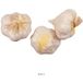 ARTIFICIELLES Tête D Ail Artificiel En Lot De 3 En Plastique Soufflé H 70x50 Mm