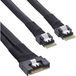 InLine 27649B Serial Attached SCSI (SAS) kabel 0,75 m 24 Gbit/s Zwart