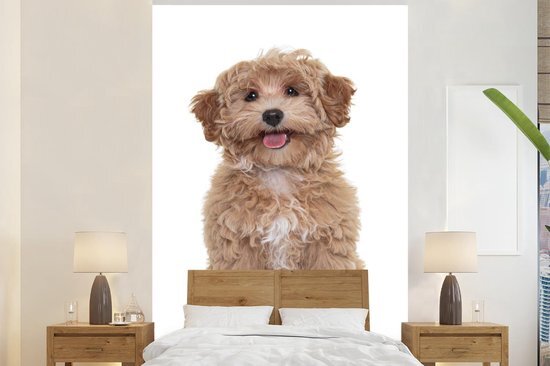 Nr1Wallpaper Behang - Fotobehang Hond - Huisdieren - Vacht - Breedte 145 cm x hoogte 220 cm