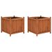 vidaXL - Plantenbakken - verhoogd - 2 st - 50x50x50 cm - vurenhout