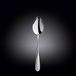 Wilmax WL-999202/6C dinerlepel van roestvrij staal, 21 cm lengte, 6 stuks