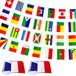 LoveVC 2 Set 29 Frans Sprekende Landen Vlaggen Banner String, 70 Voeten 58 Vlaggen