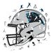 Iconic Puzzles - Carolina Panthers helm, houten puzzel met officiële NFL-licentie, 100% duurzaam, cadeau voor volwassenen en kinderen, maat S, 150 stuks