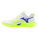 Mizuno Wave Momentum Pro Indoorschoenen Heren
