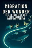 Migration FlipFlop Migration der Wunder