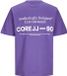 JACK&JONES JCOTEXT TEE SS CREW NECK T-shirt Homme Coton Violet XXL Coupe ample Printemps/Été 2024