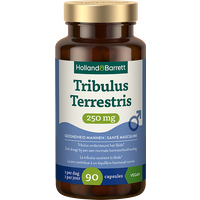 Holland & Barrett Tribulus Terrestris 250mg - 90 capsules