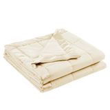 Madison Park BLANKET, polyester, Ivoor, Vol/Queen