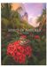 Spirit of Nature 2027: Wandkalender 50x70 cm mit Naturaufnahmen von Stefan Hefele, sprachneutralem Kalendarium und Spiralbindung