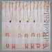 V2 Red Eye Ned Rothenberg Quintet For Clarinet & Strings