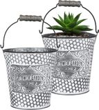 Sunnydays Emmer/plantenpot/bloempot - 2x - zink - zilver - D12.5 x H13 cm