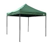 All Seasons Gazebos 2,5 x 2,5 m pop-up tuinhuisje Heavy Duty, volledig waterdicht, hoogwaardige materialen (groen)