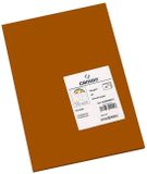 IRIS Fiches Chocolade 185 g