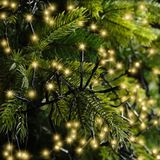 Lumineo Guirlande lumineuse avec 2040 LEDS - 19M - Soft Gold - 2700K - IP44