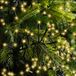 Lumineo Guirlande lumineuse avec 2040 LEDS - 19M - Soft Gold - 2700K - IP44