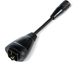Cortina Adaptateur câble DT Sport Drive 36V Noir