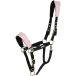 Catago Halster voor paarden fir-tech