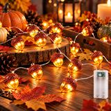 Guirlande lumineuse gland, 3 mètres, 20 LED, pile, minuterie, lumière blanc chaud