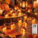Guirlande lumineuse gland, 3 mètres, 20 LED, pile, minuterie, lumière blanc chaud