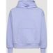 garment-workshop Icecat Double couche Hoodie avec double broderie