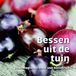 Bessen Vonk Uitgevers Bessen uit de tuin