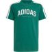 Adidas Codes Collegiate Graphic T-shirt Met Korte Mouwen Groen 9-10 Years Jongen