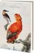 Bekking & Blitz - Wenskaartenmapje - Set wenskaarten - Kunstkaarten - Museumkaarten - Dieren - Vogels - 10 stuks - Inclusief enveloppen