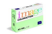 Image Coloraction gekleurd kopieerpapier Forest/groen 160g/m2 A3 - pakket van 250 vellen