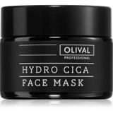 Olival Professional
