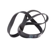 Ina FB 7PK1795 tandriem
