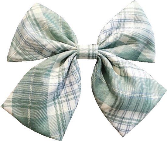 Haarspeld Duckklem Strik Ruit Print Groen