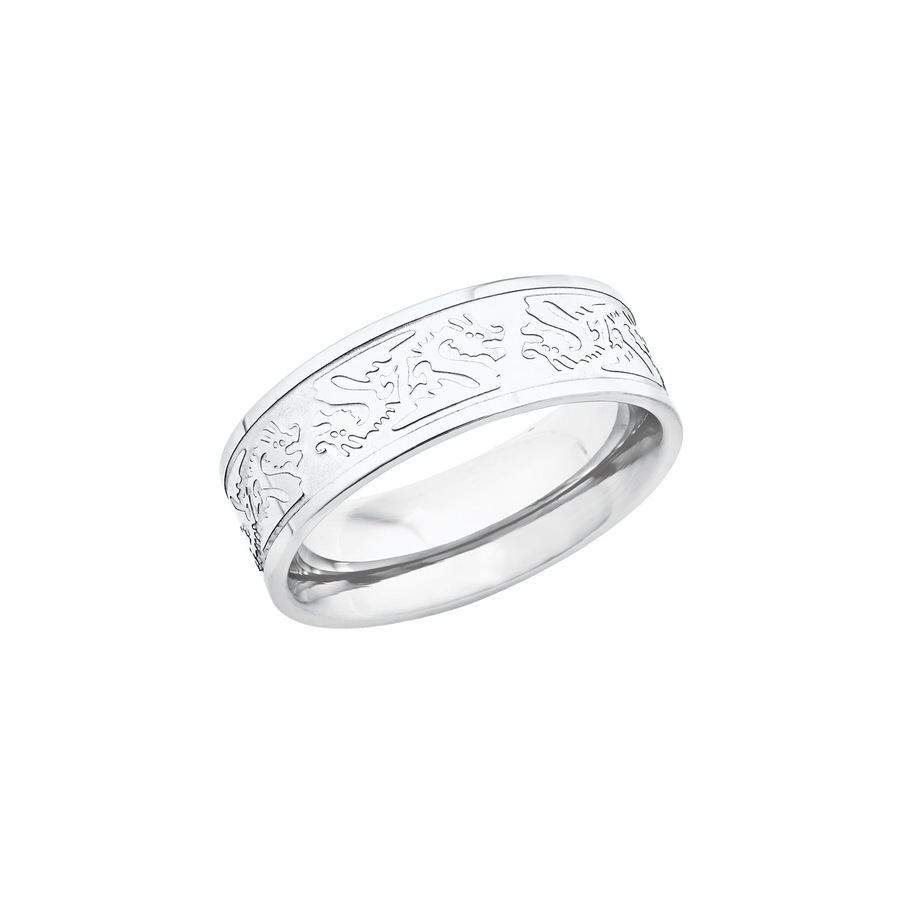 amor amor Ring voor mannen, roestvrij staal, draak Mannen sieraden Wit Heren