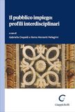 Il pubblico impiego: profili interdisciplinari