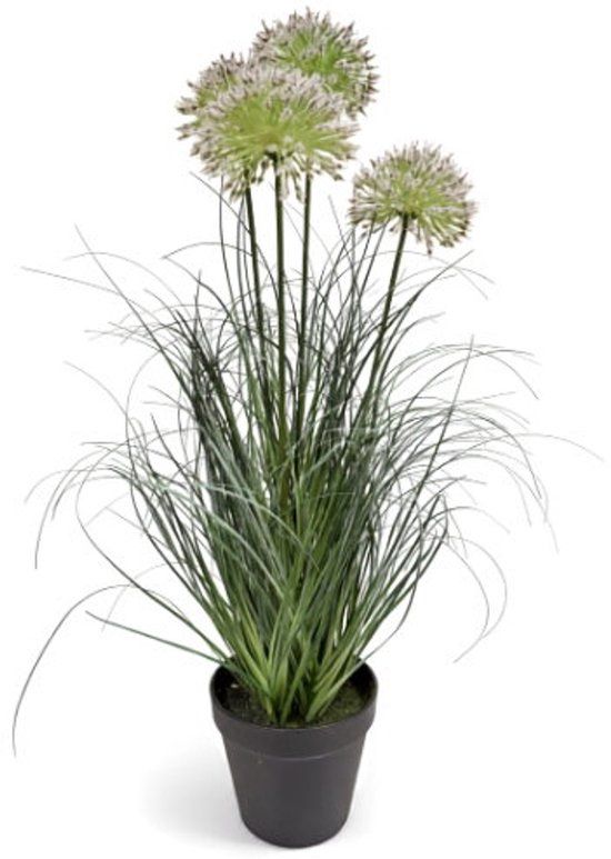 Oosterik Home Allium siergras wit H 57 cm kunstplant