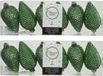 Decoris Dennenappels Kersthangers - 18 stuks - Groen - Glitter - 8 cm - Kunststof
