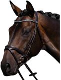 Premier Equine Riem voor paardrijden rivere