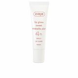 Ziaja Lip Balm With Shine Sweet Mirabelle Plum 12 Ml