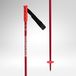 Rossignol Bâtons de ski alpin junior Hero Sl