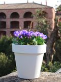 Intergard Tuinverlichting bloempot design ø30x29cm Groen Metaal