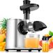 Slowjuicer - Sapcentrifuge - Groente en Fruit - 2 Snelheden - Omkeerfunctie - Zwart